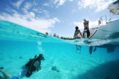 Diving in Bora Bora and Polynesian islands