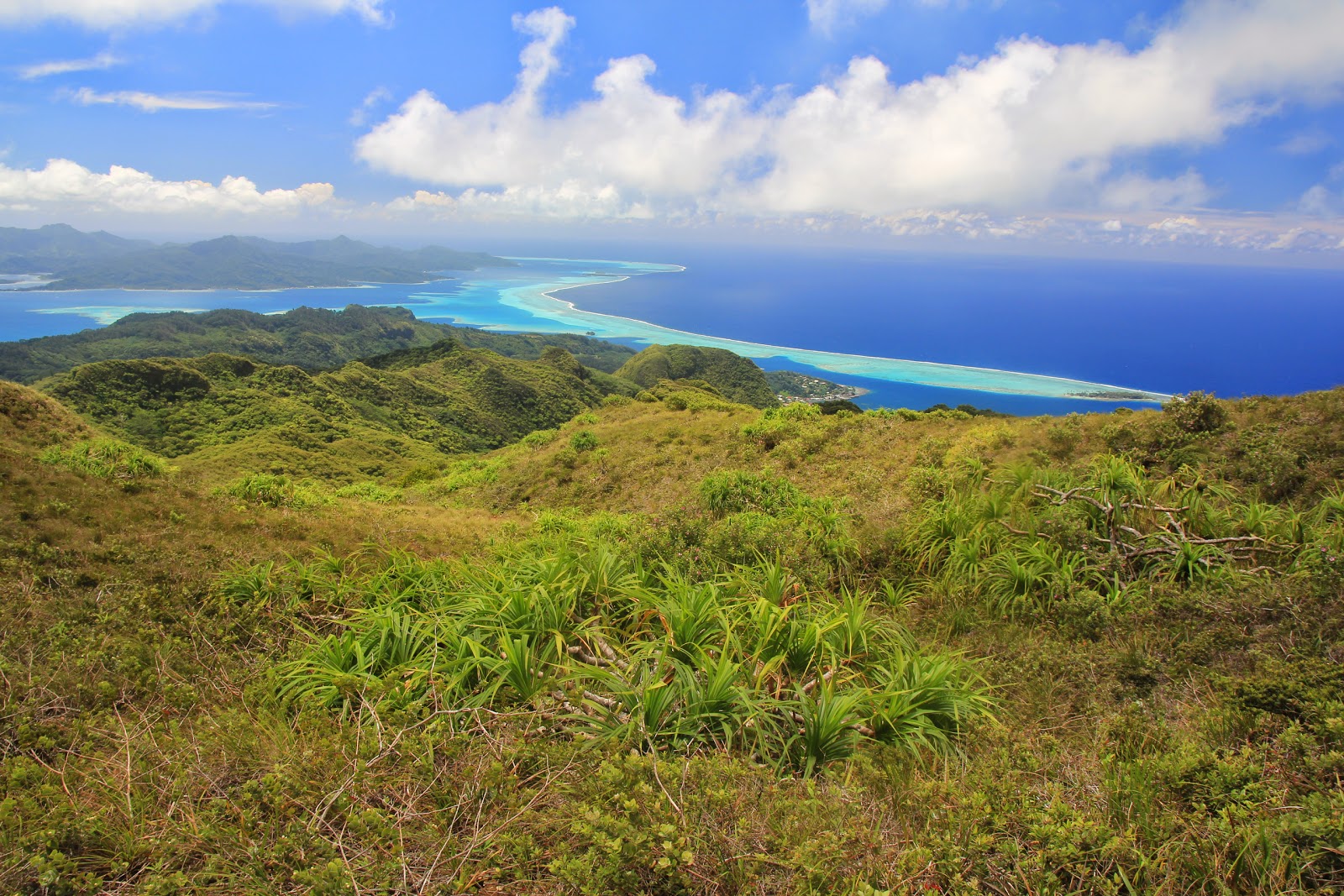 Polynesian legends : The Tiare Apetahi