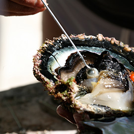 Pearl Farm of Tahiti
